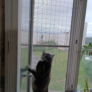 Сетка антикошка на окно из алюминия