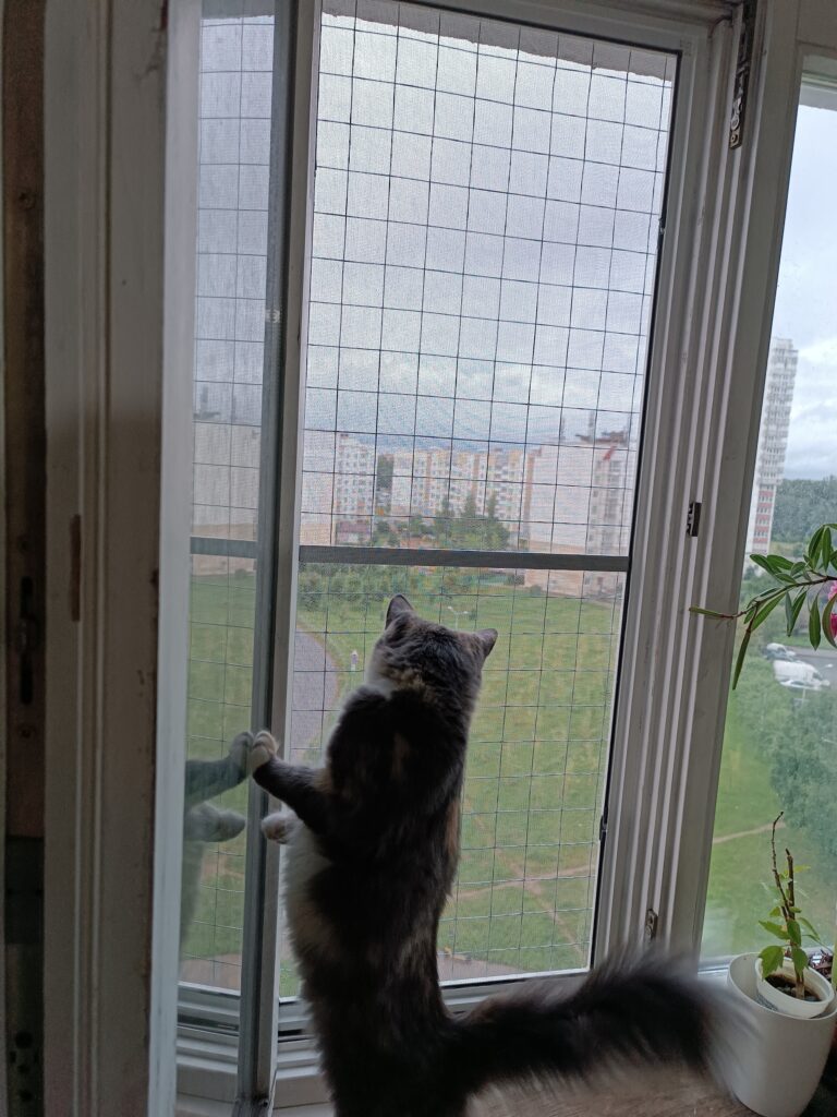 Сетка антикошка на окно